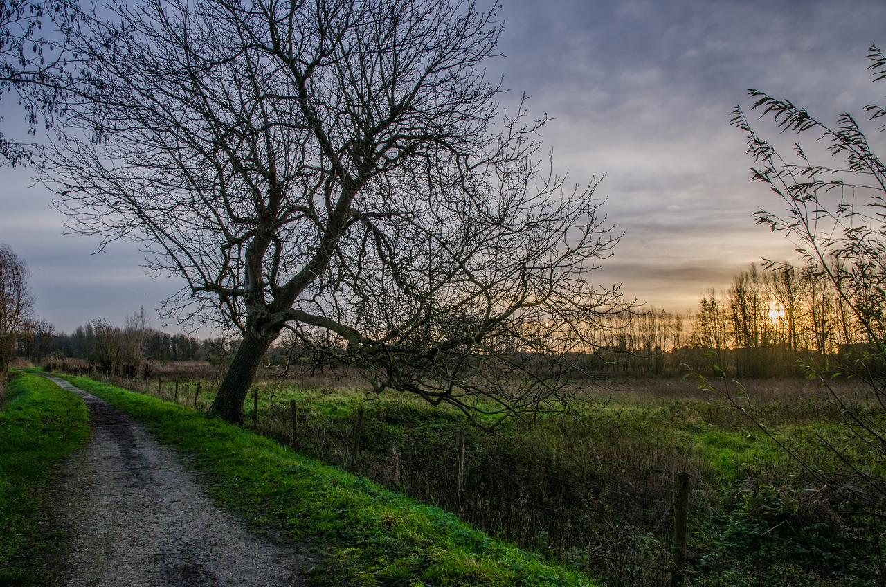 De Koolputten Waasmunster Экстерьер фото
